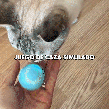 NUEVA PELOTA DE JUGUETE INTELIGENTE PARA MASC