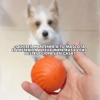 NUEVA PELOTA DE JUGUETE INTELIGENTE PARA MASC